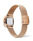 Daniel Wellington DW00100965 Watch