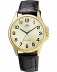 Q&Q Japan By Citizen QA06J103Y Analog