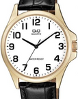 Q&Q Japan By Citizen QA06J104Y Analog