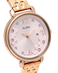 Alba AH7V92X Analog