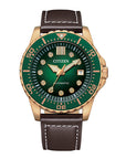 Citizen NJ0173-18X Analog Men