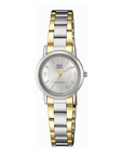 Q&Q Japan By Citizen QA39J404Y Analog