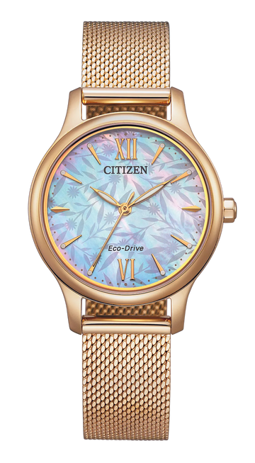 Citizen EM0892-80D Eco-Drive Analog