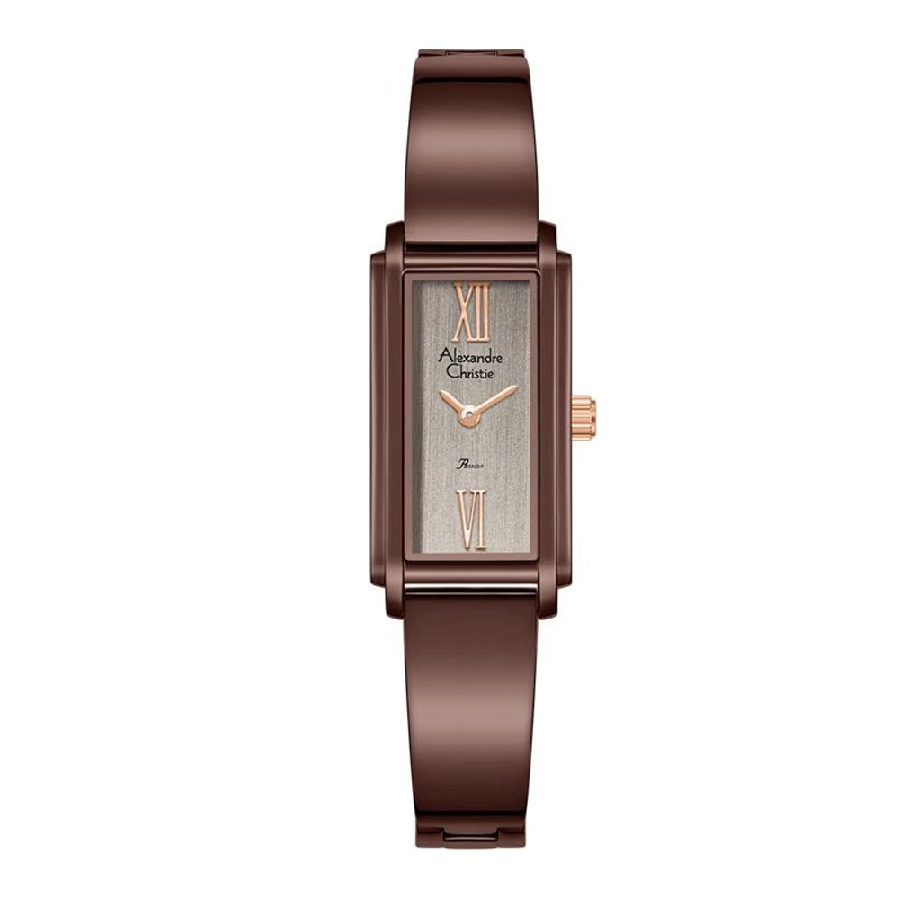 Alexandre Christie AC2C06LHBBNBO Passion Women's Brown Dial Brown Stainless Steel Watch
