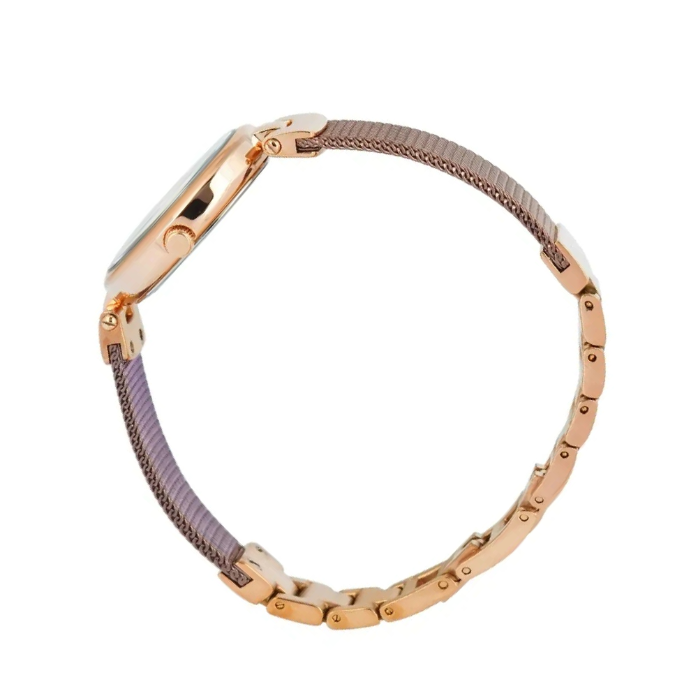 Alexandre Christie AC2C08LHBROBO Passion Women's Brown Dial Rose Gold &amp; Brown Stainless Steel Watch