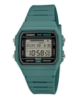 Casio General F-B100W-3ADF Watch