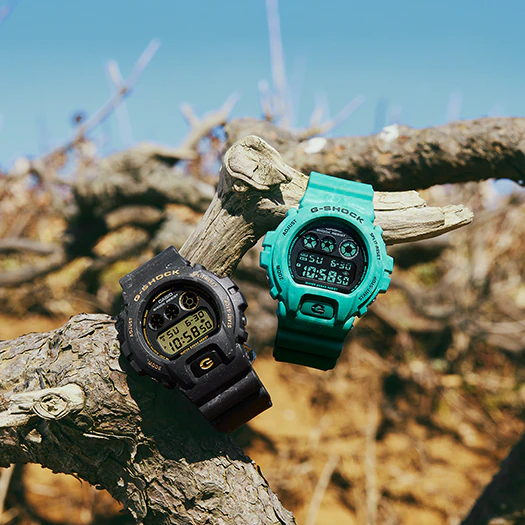 Casio G-Shock DW-6900WS-1D Digital