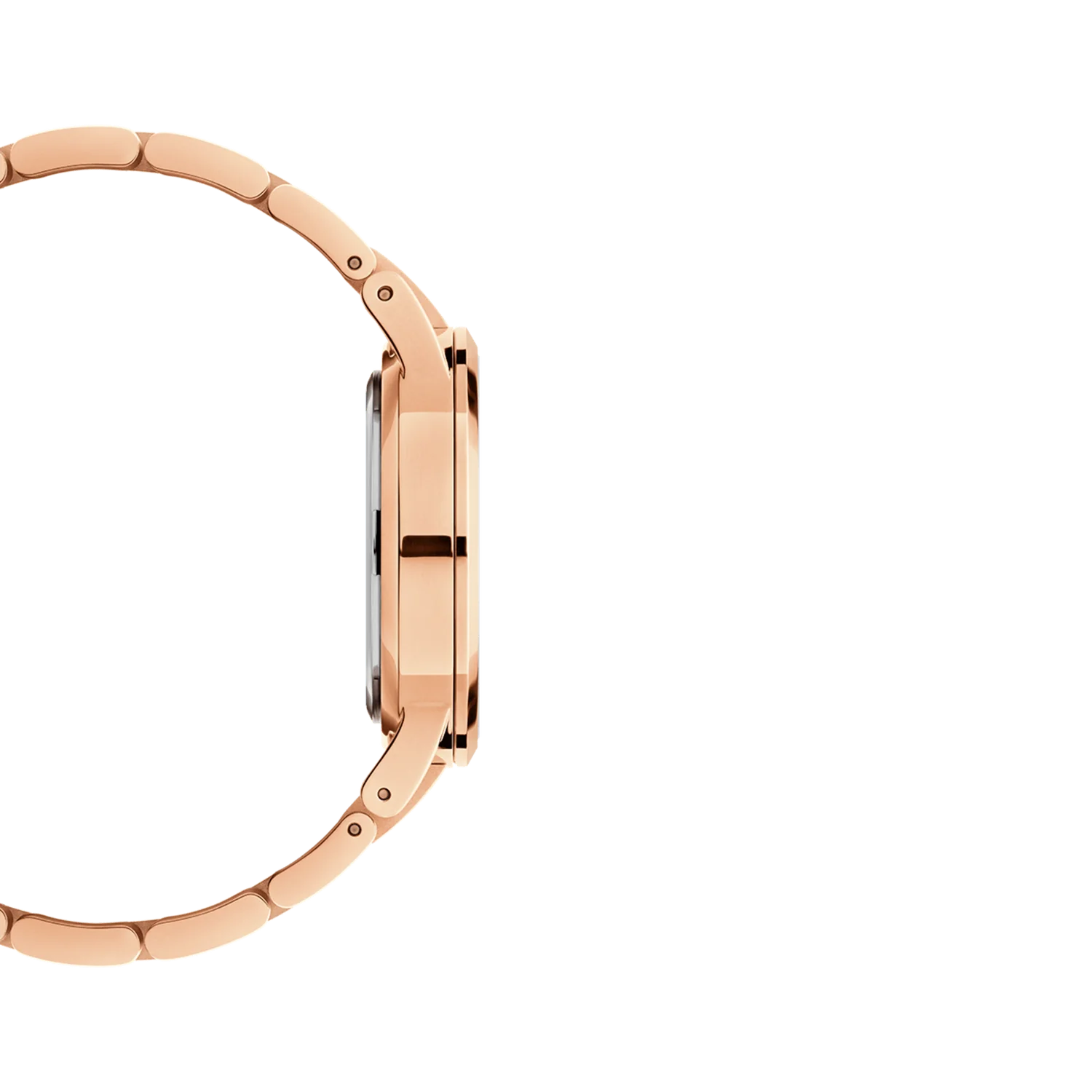 Daniel Wellington DW00100212 Iconic Link Quartz