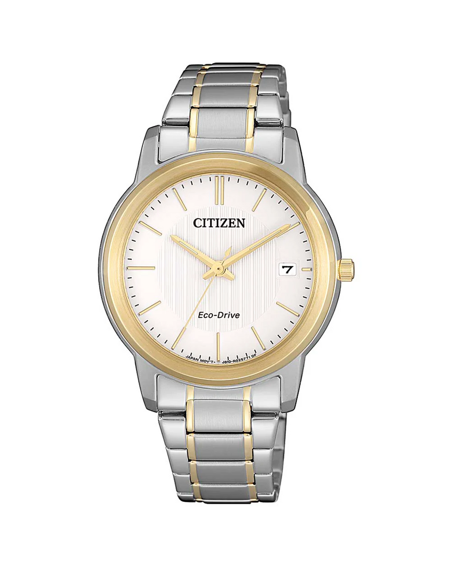 Citizen FE6016-88A Eco-Drive Ladies