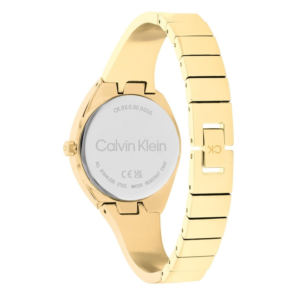 25200025 Calvin Klein 25200235 Ladies Charming Quartz – PublicWatch.com