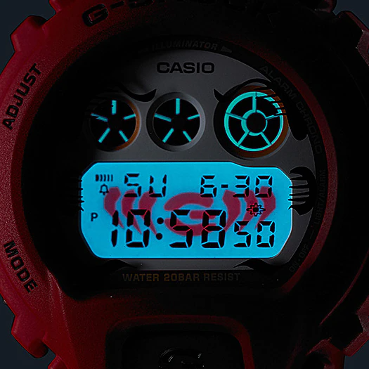 Casio G-Shock DW-6900DA-4 Digital